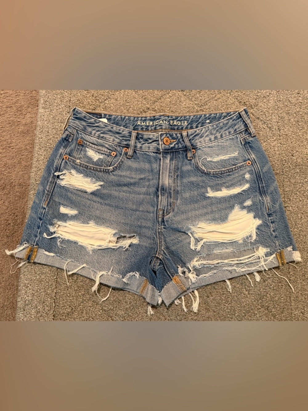 American Eagle Outfitters Ripped Light Blue Denim Shorts